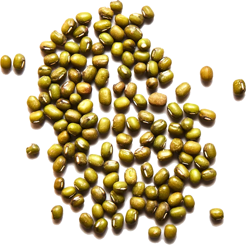 MungBeans